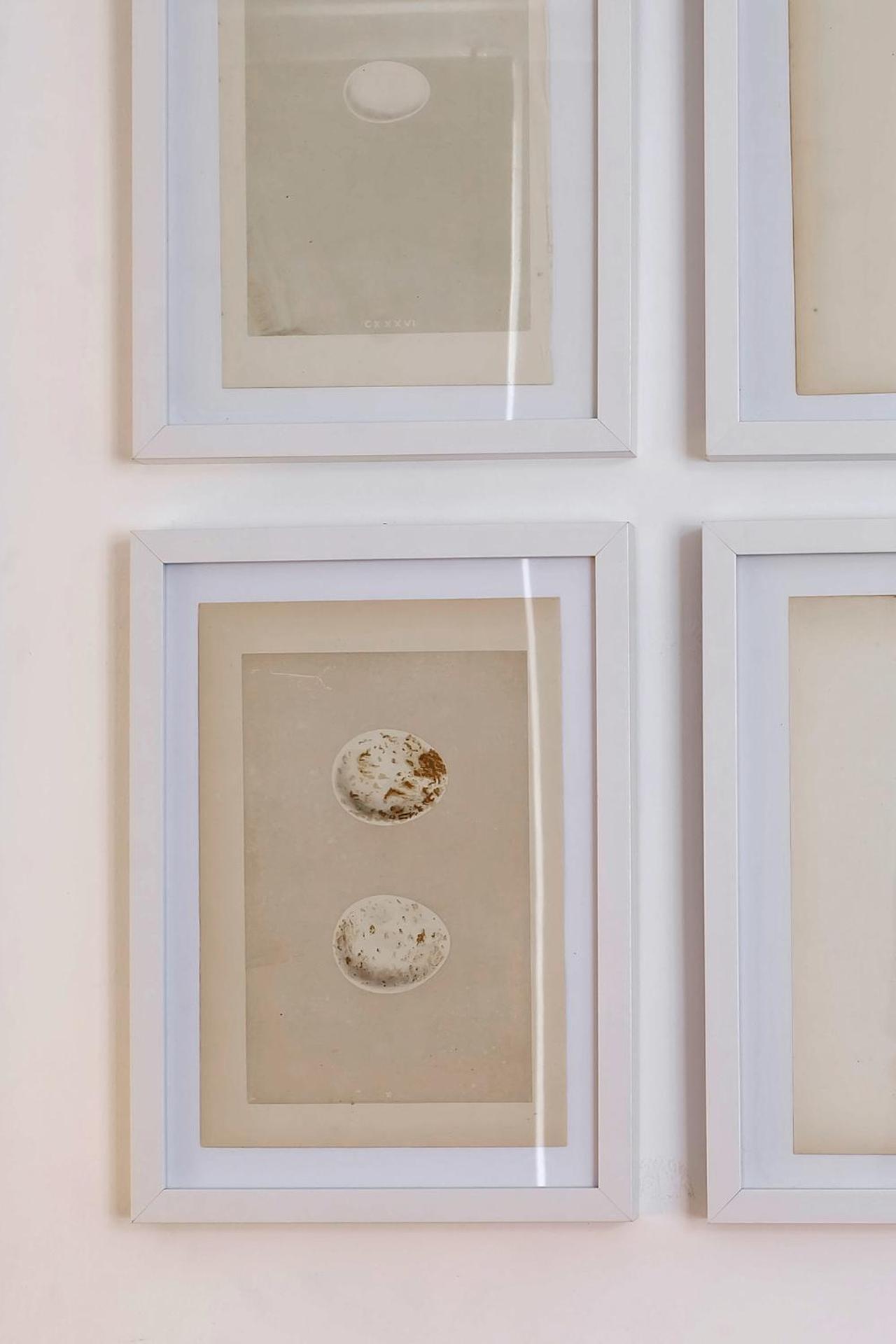 Cec Charm At Coolest Area To Stay: Pr. Real / Br. Alto Apartamento Lisboa